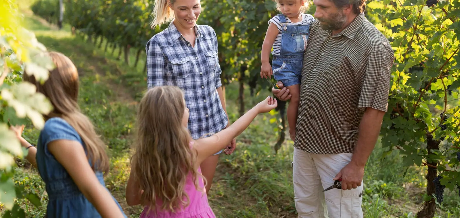 Una familia pasea con sus hijos entre viñas, una imagen del seguro de decesos en Bormujos